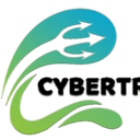 Cybertryzub Infosec Private Limited logo